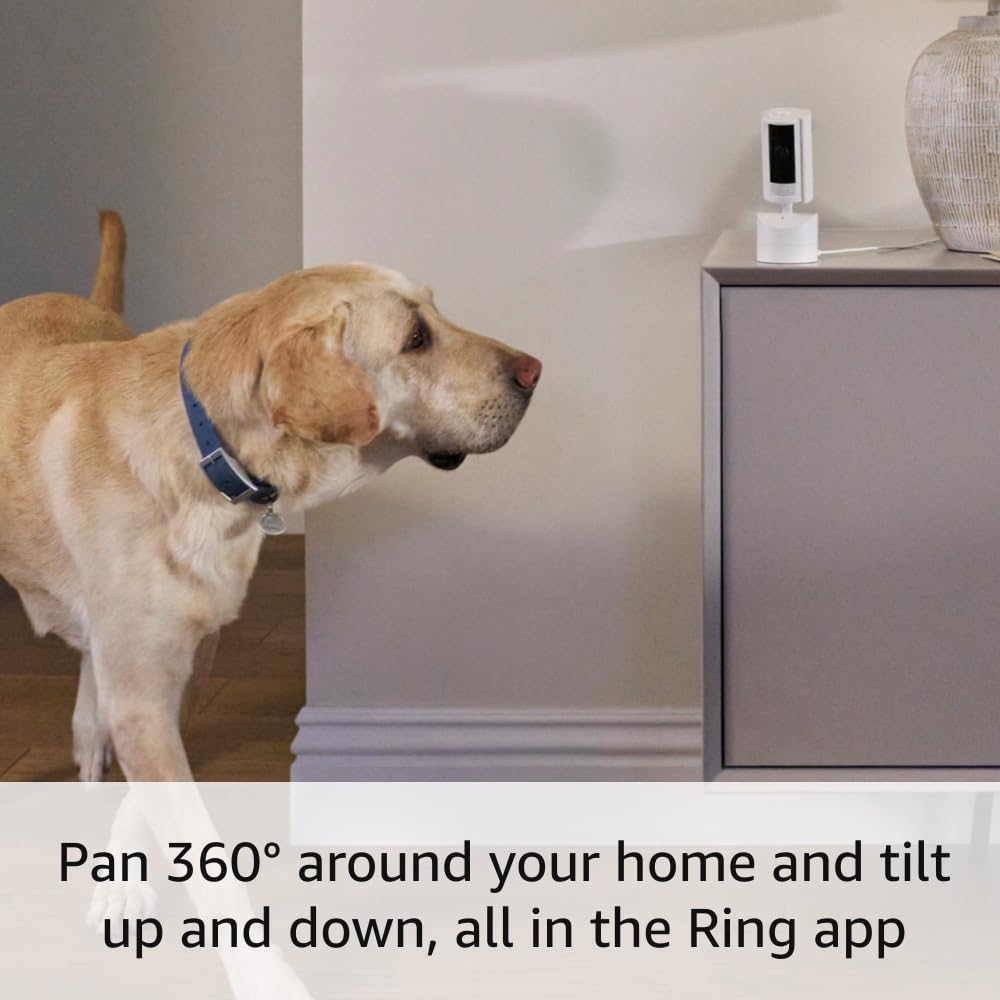Ring Pan-Tilt Indoor Cam (2024): 360° Pan & Tilt, HD Video, Two-Way Audio - White